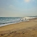 Beach. 