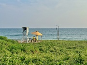 19th Mar 2025 - Life guard. 