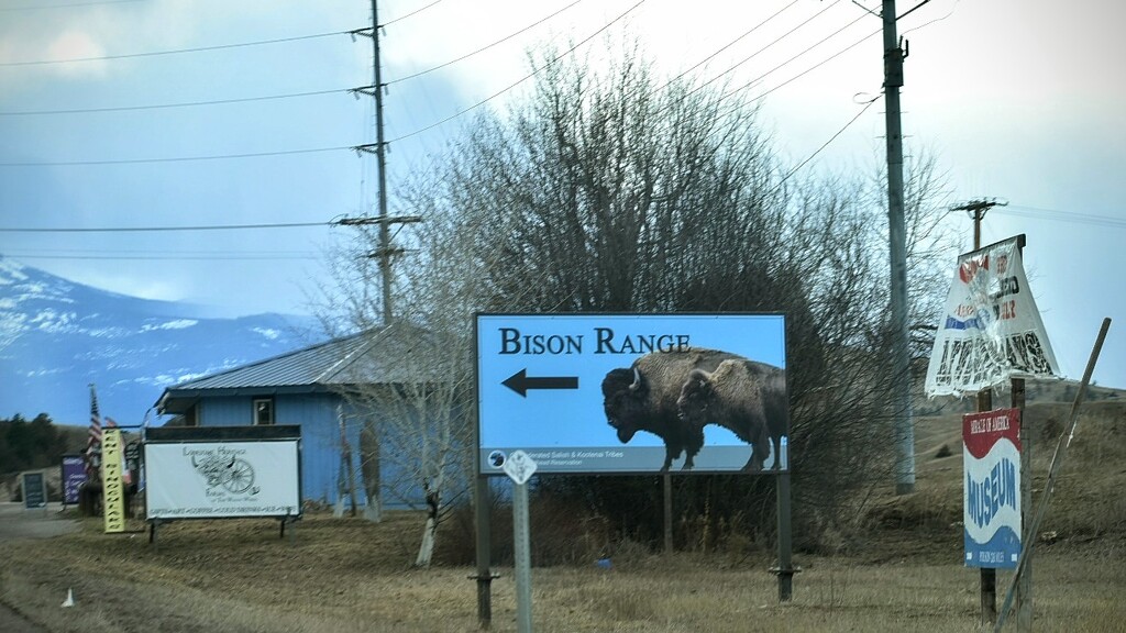 A Local Attraction!  by bjywamer
