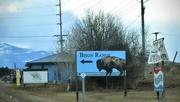 12th Mar 2025 - A Local Attraction! 