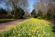 17th Mar 2025 - Rainbow month yellow 3