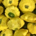Squash