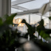 Morning Light-2936