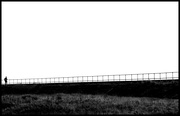 19th Mar 2025 - Minimal