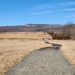Walking trail