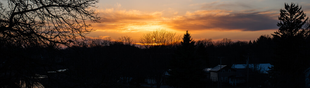 Golden hour by darchibald