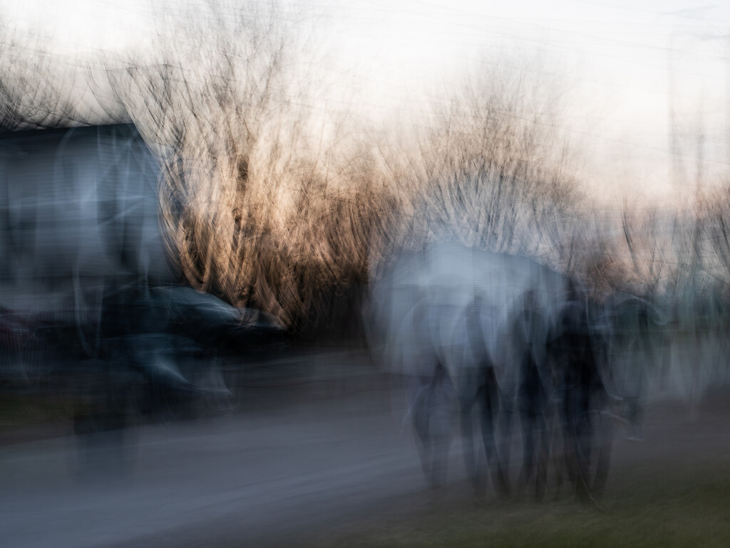 Sunset walkers by darchibald