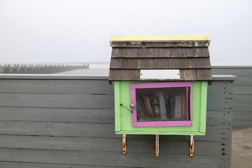 Colors in the fog by mccarth1