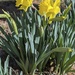 Signs of spring