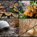 Autumn Mood