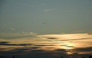 19th Mar 2025 - Flight.