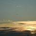 Flight.