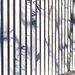 Light and shadow on the fence by kork