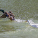 The Chase