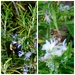 The Bees are Back!