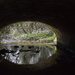 Tunnel vision