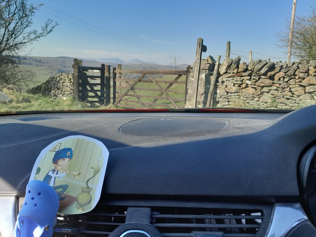 a snake with a view by anniesue