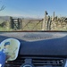 a snake with a view