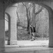 Through the Arches