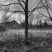 Forgotten