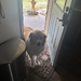 Sweet Murphy