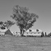 The shearing shed