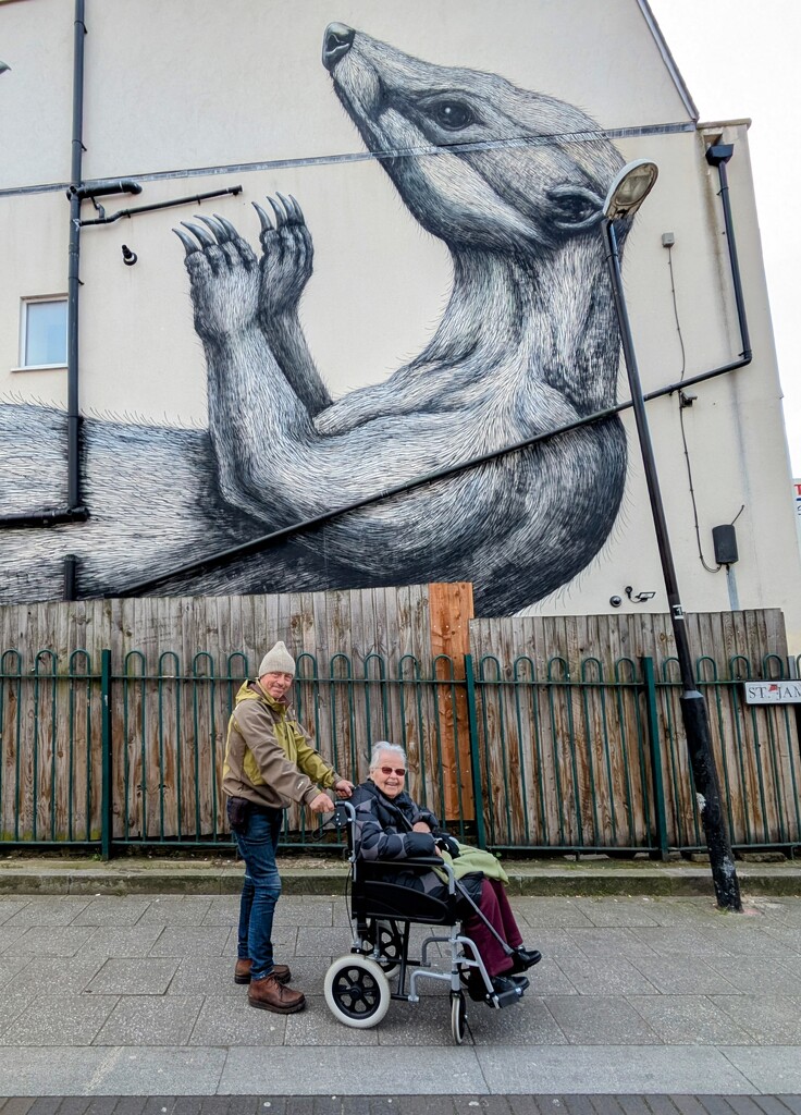ROA badger by boxplayer