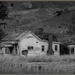 The old cottage