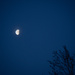 Morning Moon