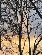 20th Mar 2025 - IMG_5999
