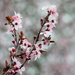 First Day Of Spring...2025