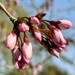 First Day of Spring