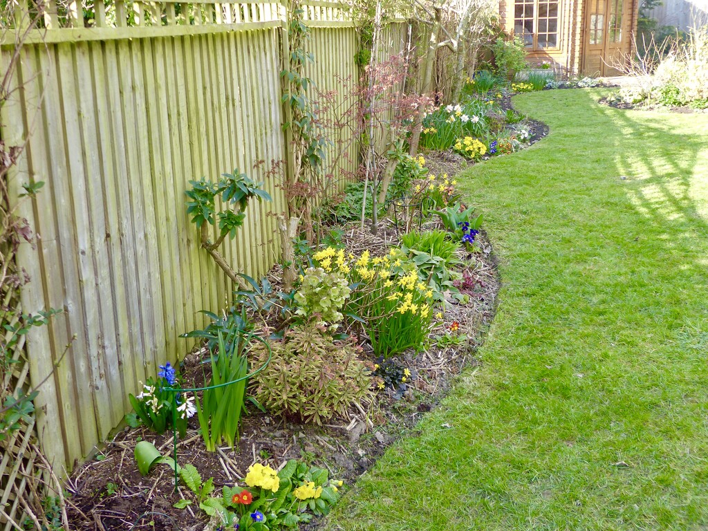 Spring Border by susiemc
