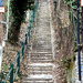 Should I go up? I'm going!