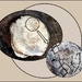 Micro/macro wander #4