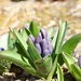 Happy Spring! by yesfantina