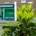Supermarket 