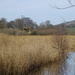 the sky hide