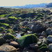Cobble stones on the beach