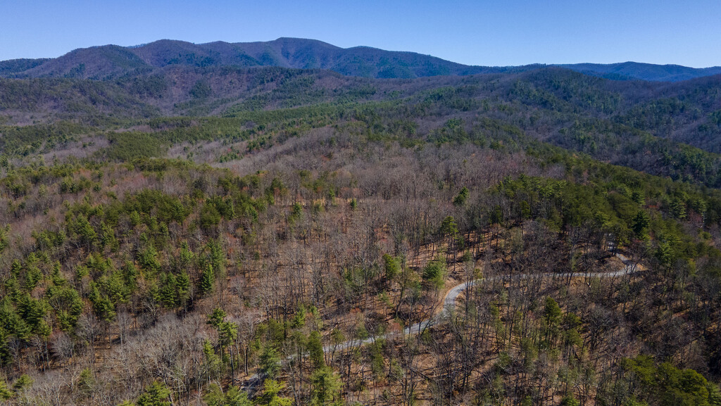 Cohutta Wilderness by kvphoto