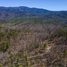 Cohutta Wilderness