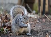 20th Mar 2025 - Snack Time