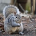 Snack Time