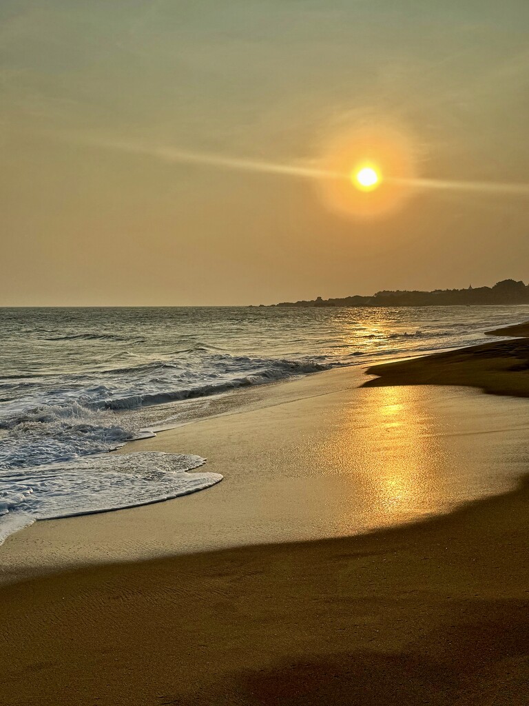 Gold.  by cocobella