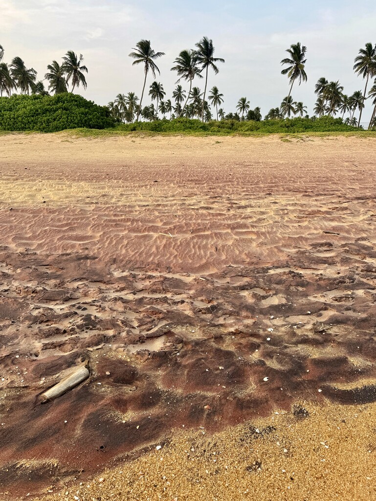 Red and yellow beach.  by cocobella