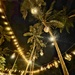 Evening lights. 