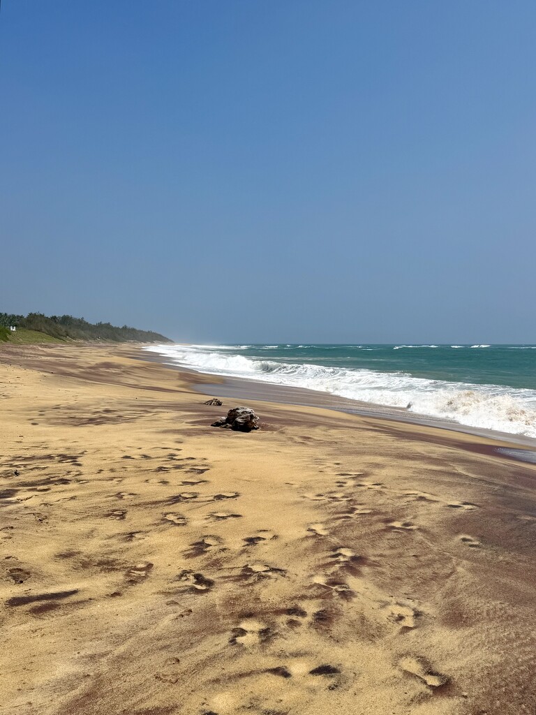 Hambantota beach.  by cocobella