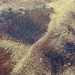 Leopard beach. 