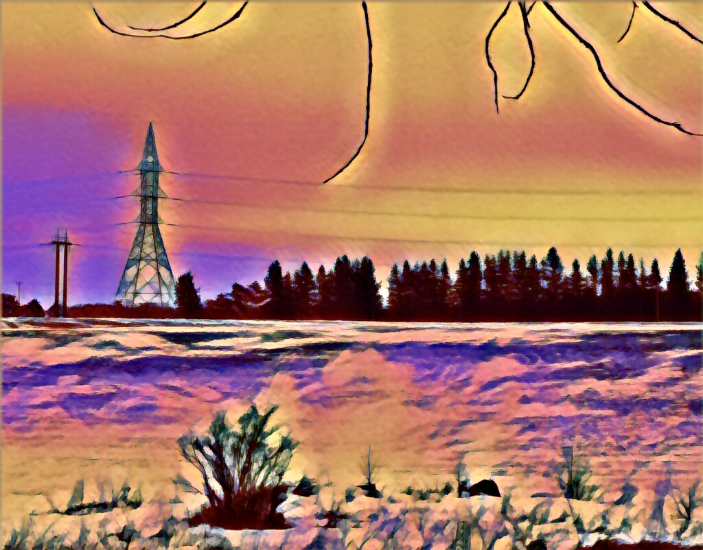 Prairie Photo by ikik