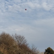 19th Mar 2025 - IMG_20250319_165013